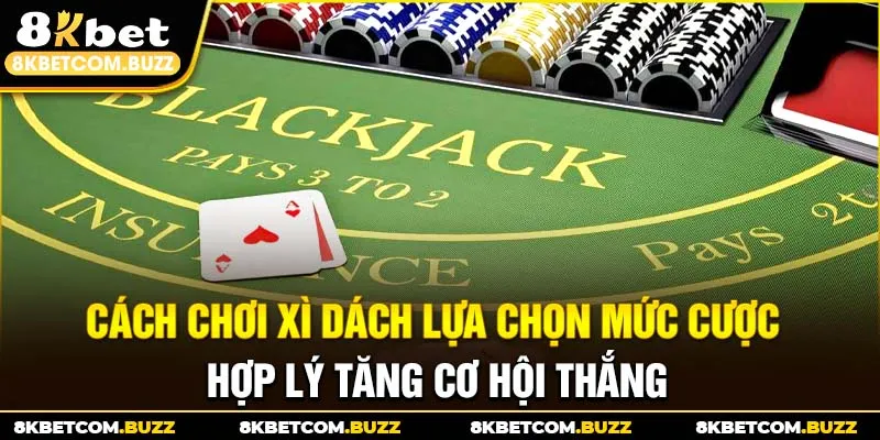 Cách chơi Xì Dách lựa chọn mức cược hợp lý tăng cơ hội thắng